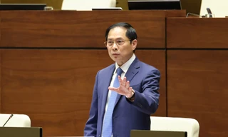 Bộ trưởng Ngoại giao: 'Chuyến bay giải cứu' là sự việc hết sức đau lòng