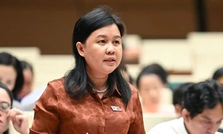 Đại biểu Quốc hội: Không để 'lạm phát văn bản' trong thời gian sắp tới