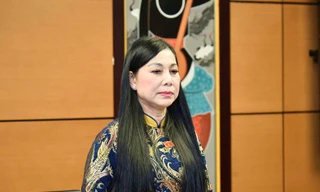 Tạm đình chỉ nhiệm vụ đại biểu Quốc hội với bà Hoàng Thị Thúy Lan 