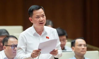 Doanh nghiệp phải đi xin đi chạy, giải quyết được thì đã 'gần đất xa trời'