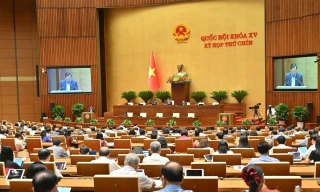 Chính phủ trình Quốc hội dự án Bộ luật Hình sự (sửa đổi)