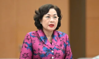 Thống đốc Nguyễn Thị Hồng: Cho vay đặc biệt lãi suất 0%/năm chỉ áp dụng với 2 trường hợp 