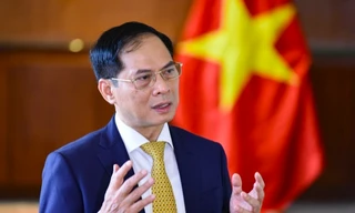 Phó Thủ tướng Bùi Thanh Sơn nhận thêm nhiệm vụ mới