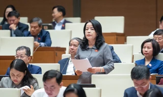 Chất vấn thời điểm xác định trị giá tài sản vụ án Vũ 'nhôm' và cựu Chủ tịch Đà Nẵng Trần Văn Minh