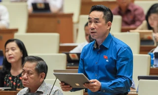 'Không được ngăn chặn, cản trở việc phổ biến, sử dụng Quốc kỳ, Quốc huy, Quốc ca'