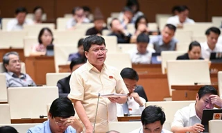 ĐBQH 'than' Luật quy hoạch sửa miết, sửa hoài mà vẫn vướng