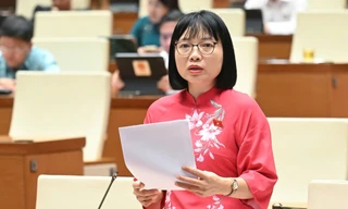 Mức phạt quá cao so với khả năng chi trả có thể dẫn đến trốn tránh, tiêu cực