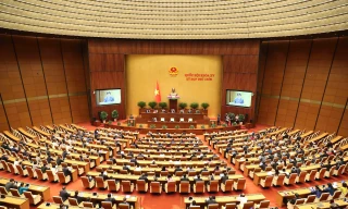 Quốc hội yêu cầu xử lý nghiêm các trường hợp vi phạm quy định về dạy thêm