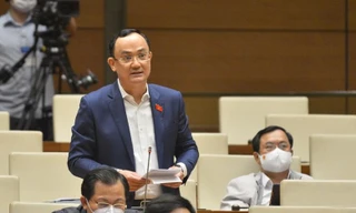 Đại biểu Quốc hội Nguyễn Ngọc Sơn