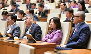 Chính phủ đề xuất phân bổ 2.526 tỷ đồng để EVN cấp điện cho huyện Côn Đảo