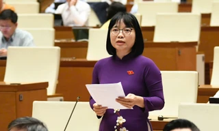 Hiểm họa lâu dài khi ‘cái giả lên ngôi, gian dối được dung túng’