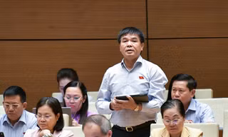 Siêu dự án Đại Ninh của ông Nguyễn Cao Trí 'phù phép' nâng vốn điều lệ ra sao?