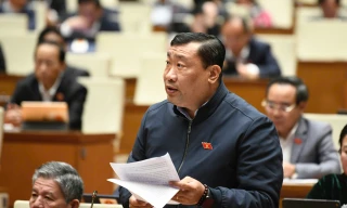 Làm rõ tiêu chí về 'mức độ vi phạm' để tạm đình chỉ đại biểu Quốc hội 