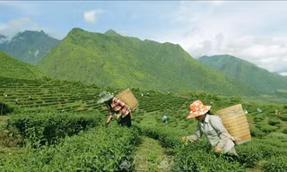 Tìm kiếm cơ hội việc làm phi nông nghiệp cho đồng bào dân tộc thiểu số