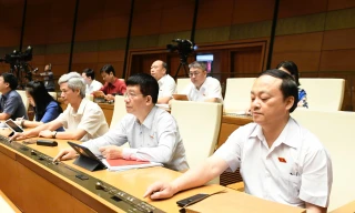 'Chốt' một quốc tịch với cán bộ giữ chức danh theo nhiệm kỳ