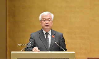 Chủ nhiệm Uỷ ban Văn hóa, Giáo dục, Thanh niên, Thiếu niên và Nhi đồng Quốc hội Phan Thanh Bình