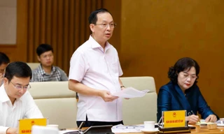 Phó Thống đốc: Ngân hàng đang phải 'chữa bệnh thừa tiền' 