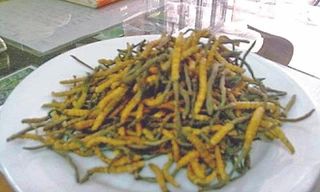 Quà bồi bổ sức khỏe tiền tỷ biếu sếp bán chạy