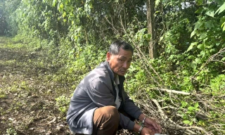 Đôi tình nhân nuôi gần 10 con chó dữ để thuận lợi tẩu tán ma tuý