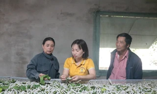 Đa cây, đa con giúp bà con vùng sâu phát triển kinh tế