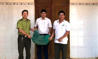 Trăn gấm quý hiếm bò vào nhà dân bắt gà trong đêm