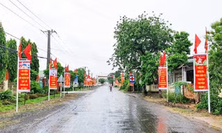 Rợp sắc cờ đỏ sao vàng những đường cờ thanh niên
