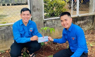 Vườn cây thanh niên giúp đoàn viên phát triển kinh tế