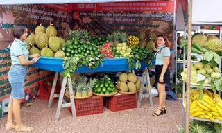 Hội nông dân Đắk Lắk kêu gọi xóa bỏ thói quen 'rau 2 luống, lợn 2 chuồng'