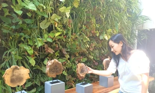 Nét đẹp Buôn Ma Thuột xưa được in độc bản trên gỗ cà phê 30 năm tuổi