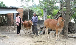 Những nữ trưởng buôn 9X cùng người dân xây dựng buôn làng, phát triển kinh tế