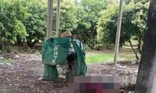 Phát hiện một nhân viên giao hàng tử vong gần một chòi rẫy