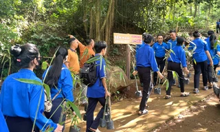 Thanh niên tạo không gian xanh quanh bến nước huyền thoại