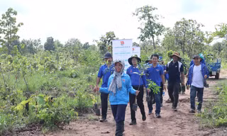 Giúp thanh niên dân tộc thiểu số tiếp cận pháp luật và nguồn vốn