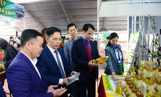 Hàng trăm gian hàng 2D, 3D trên nền tảng số ở Lâm Đồng