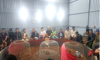 Đắk Lắk: Bắt 50 đối tượng đánh bạc dưới hình thức đá gà