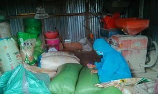 Tình nguyện viên hỗ trợ xay lúa cho dân