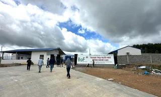 Một trang trại nuôi heo bị đình chỉ hoạt động