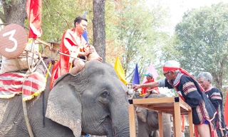 Đặc sắc lễ cúng sức khỏe cho voi