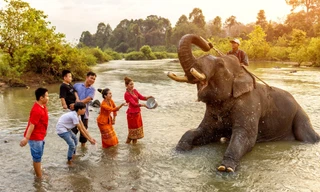 Dàn voi tập duyệt cho Lễ hội cà phê Đắk Lắk