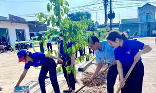 Thành phố Buôn Ma Thuột trồng mới ít nhất 5.000 cây xanh 