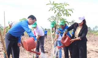 Trung ương Đoàn tham gia trồng mới 101.000 cây xanh rừng đầu nguồn
