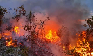 Hiện tượng lạ: Mặt đất tự bốc cháy liên tục ở Đắk Lắk