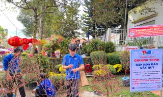 Đoàn thanh niên bán hoa đào gây quỹ, tiếp sức đường dài học sinh nghèo