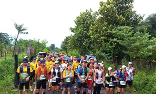 Hàng trăm người vượt bùn lầy, rừng rậm, chung tay bảo tồn voi