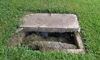 Hiểm họa từ những hố ga 'tử thần' trên đường Hà Nội