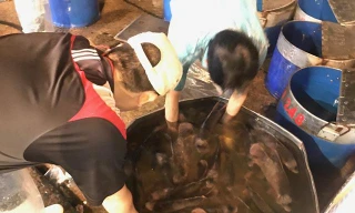 Gần 40 tấn cá lóc “đổ bộ” Sài Gòn trước ngày vía thần tài