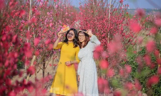 Dịp Tết nguyên đán, miền Bắc rét về đêm và sáng, trưa chiều hửng nắng.