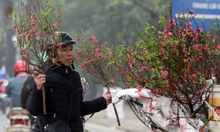 Thời tiết Tết năm nay khá ấm trên cả nước. 