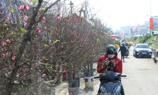 Thời tiết Hà Nội 3 ngày Tết khá đẹp. 