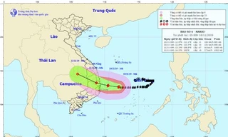 Dự báo đường đi vào vùng ảnh hưởng của bão số 6.
